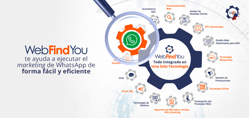 WebFindYou te Ayuda a Ejecutar el Marketing de WhatsApp de Forma Fcil y Eficiente