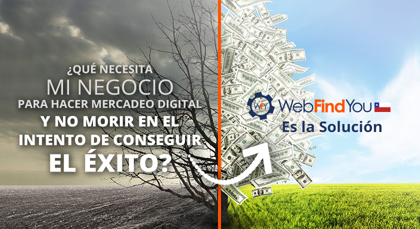 WebFindYou es la solucin de Mercadeo Digital