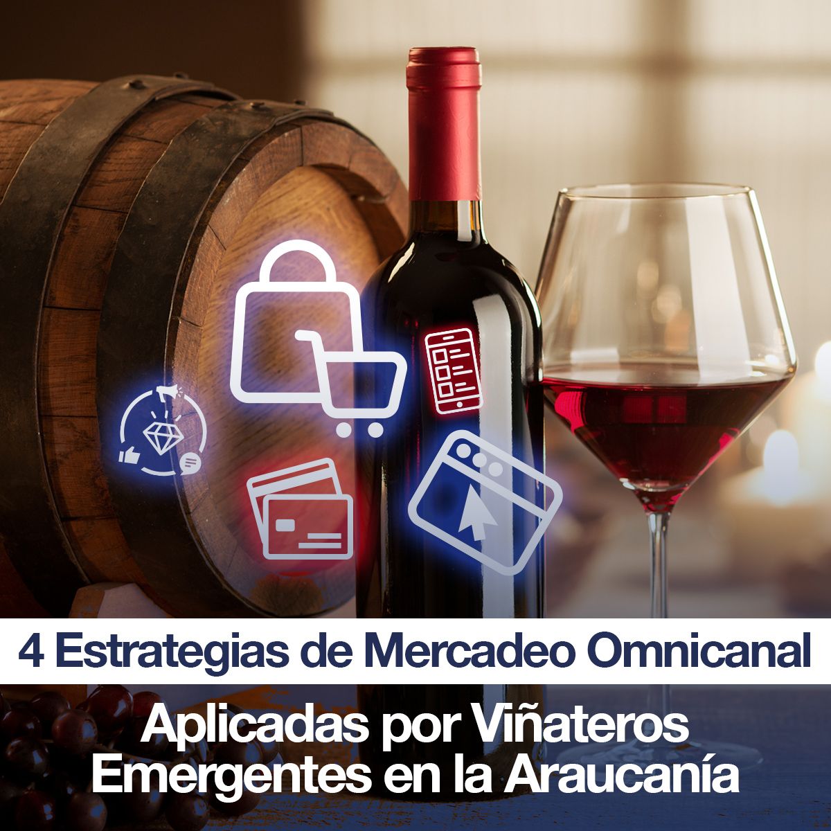 4 Estrategias de Mercadeo Omnicanal Aplicadas por Viñateros Emergentes en la Araucanía