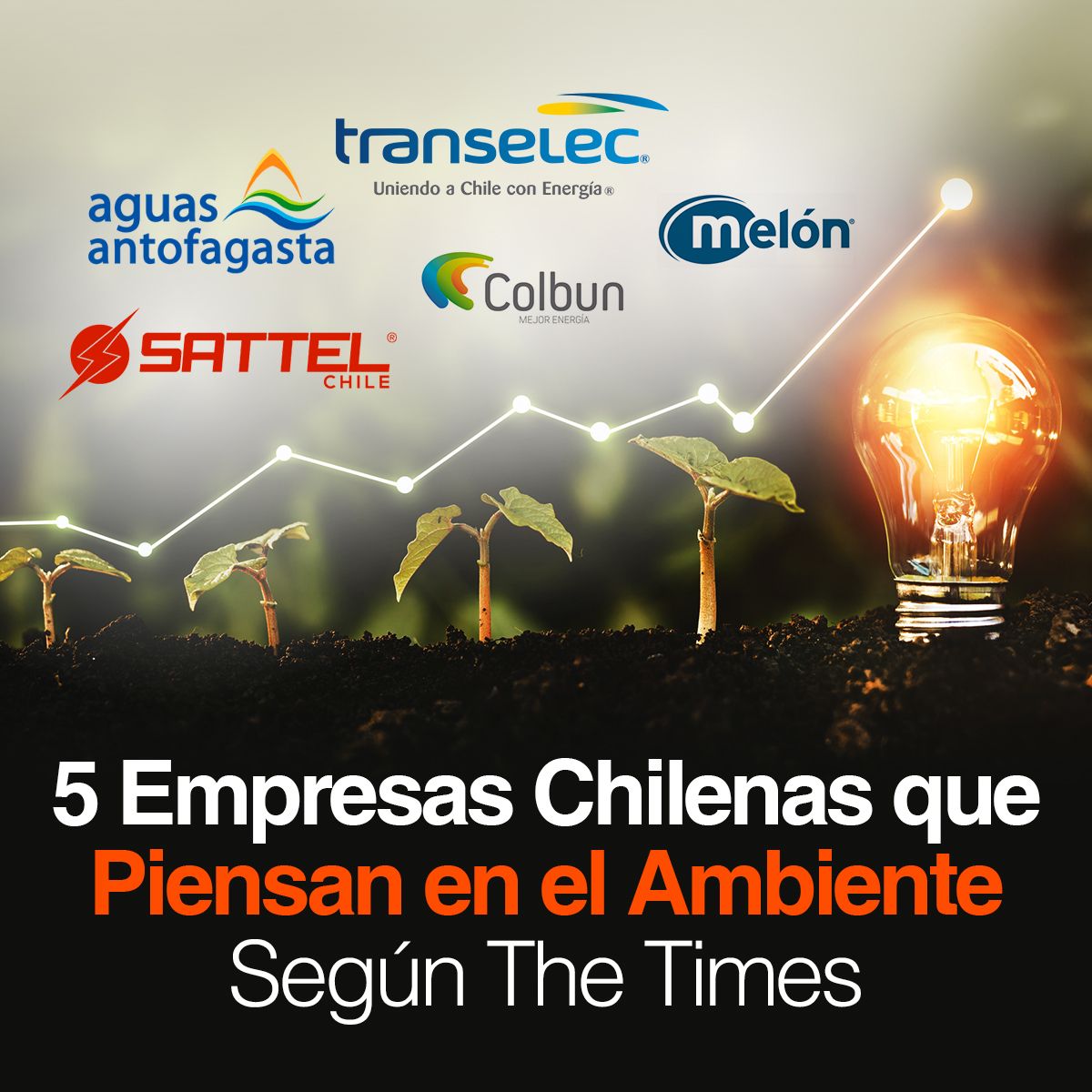 5 Empresas Chilenas que Piensan en el Ambiente Según The Times