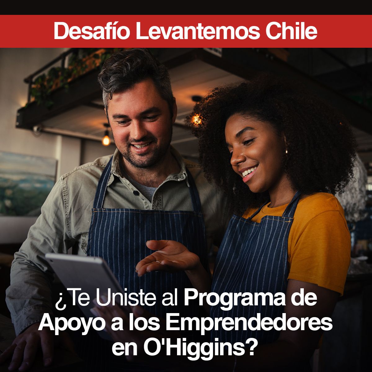 Desafío Levantemos Chile ¿Te Uniste al Programa de Apoyo a los Emprendedores en O'Higgins?