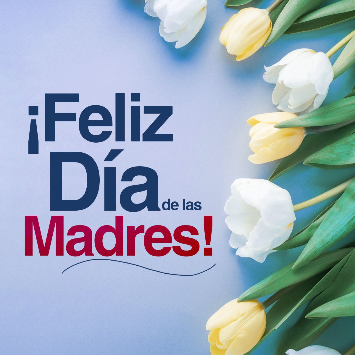 ¡Feliz Día de las Madres!