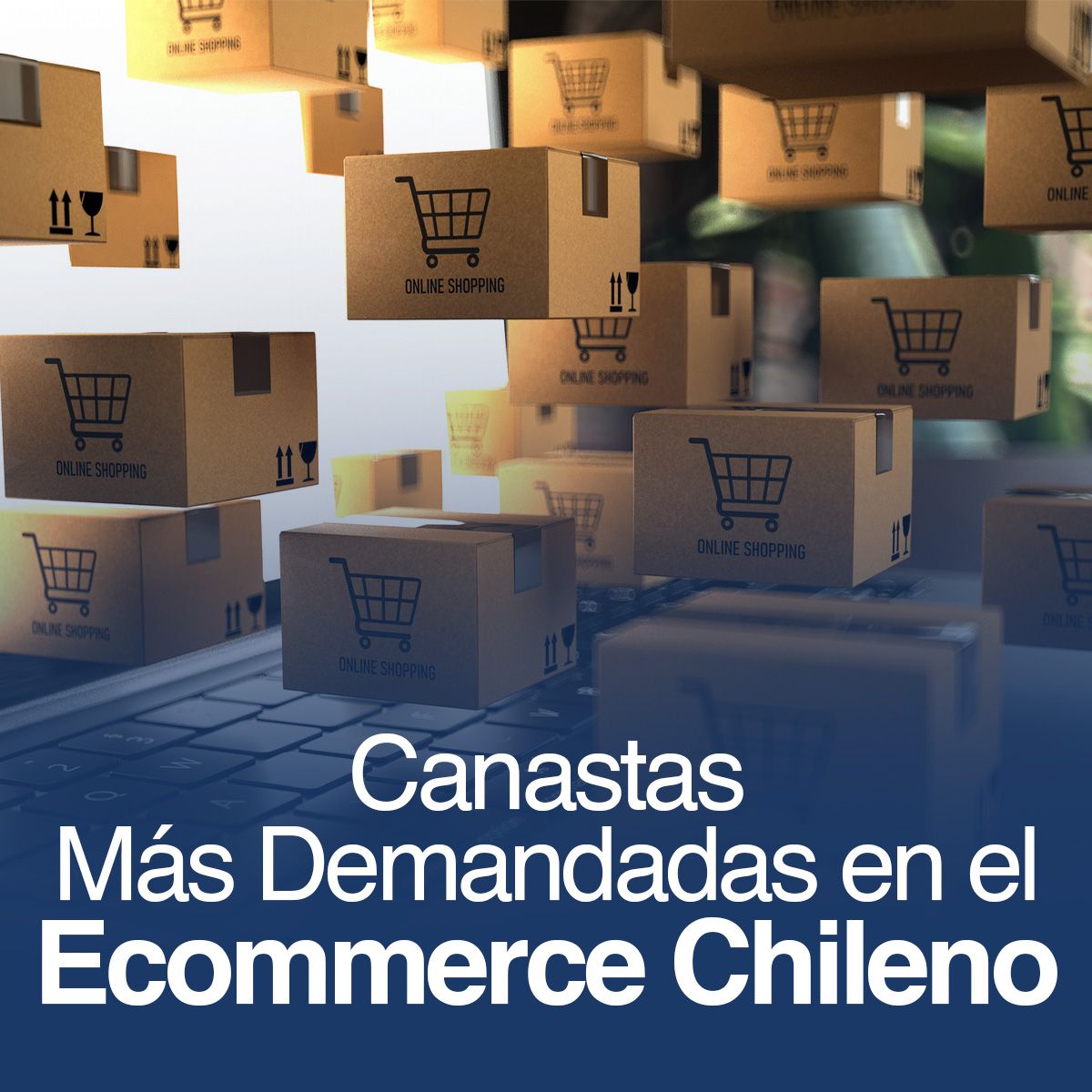 Canastas Más Demandadas en el Ecommerce Chileno