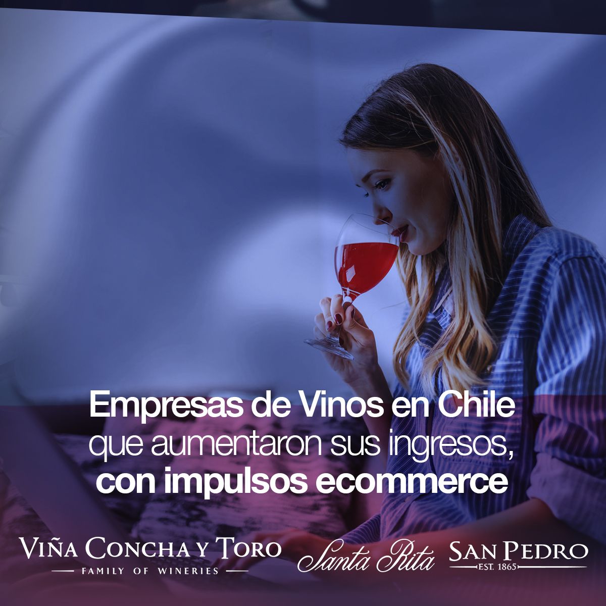 Empresas de Vinos en Chile que aumentaron sus ingresos, con impulsos ecommerce