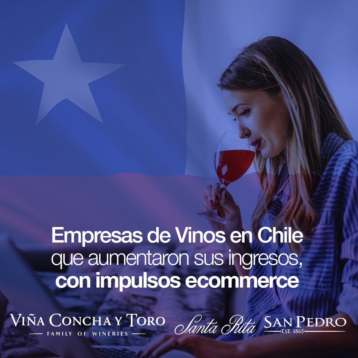 Empresas de Vinos en Chile que aumentaron sus ingresos, con impulsos ecommerce